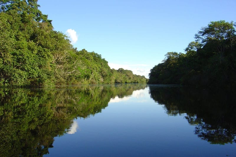 The amazon River Iquitos Peru