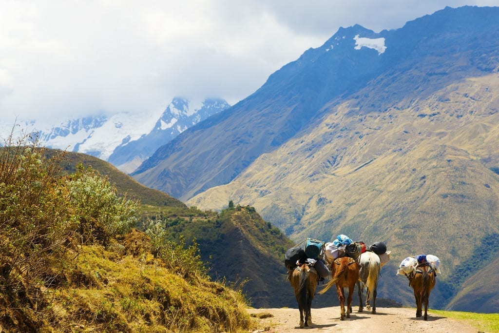 The Salkantay Trek