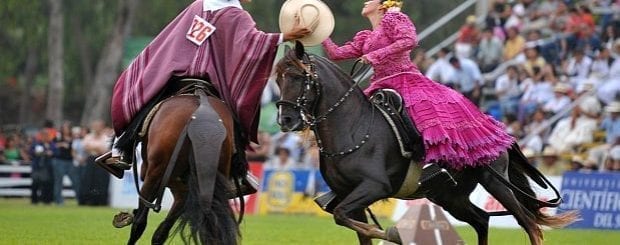 Peruvian horses