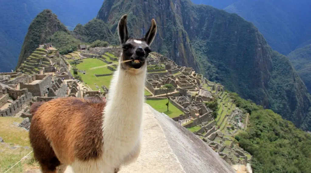 Machu Picchu on a budget
