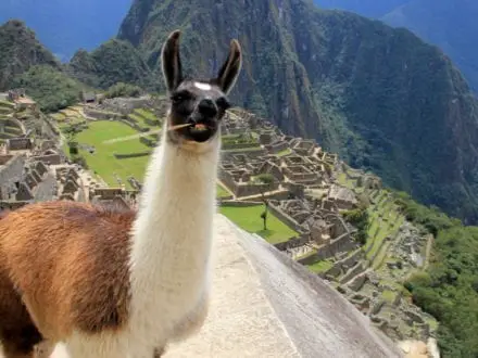 Machu Picchu on a budget