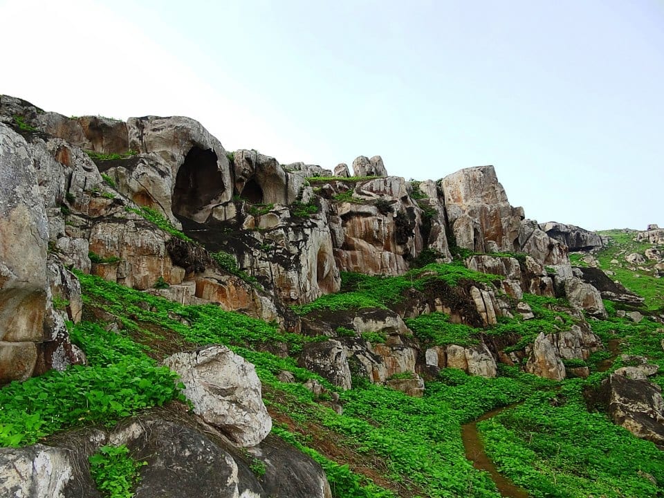 Lucumo Lomas Lima Hike