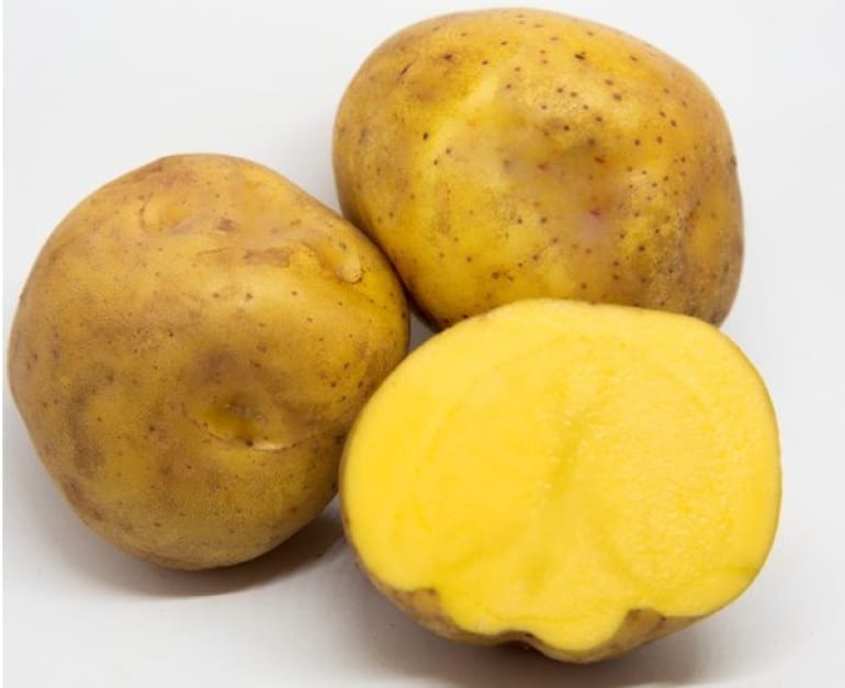 Peruvian Yellow Potato