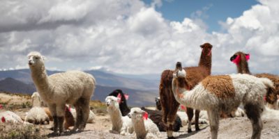 Best Tips for Peru Travel