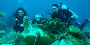 Diving Seymour Channel Galapagos