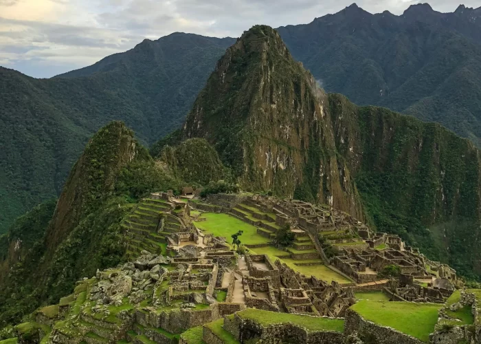 Machu Picchu in The Cloud Forest