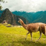 Private Peru tours for luxury travelers Private Peru tours for luxury travelers